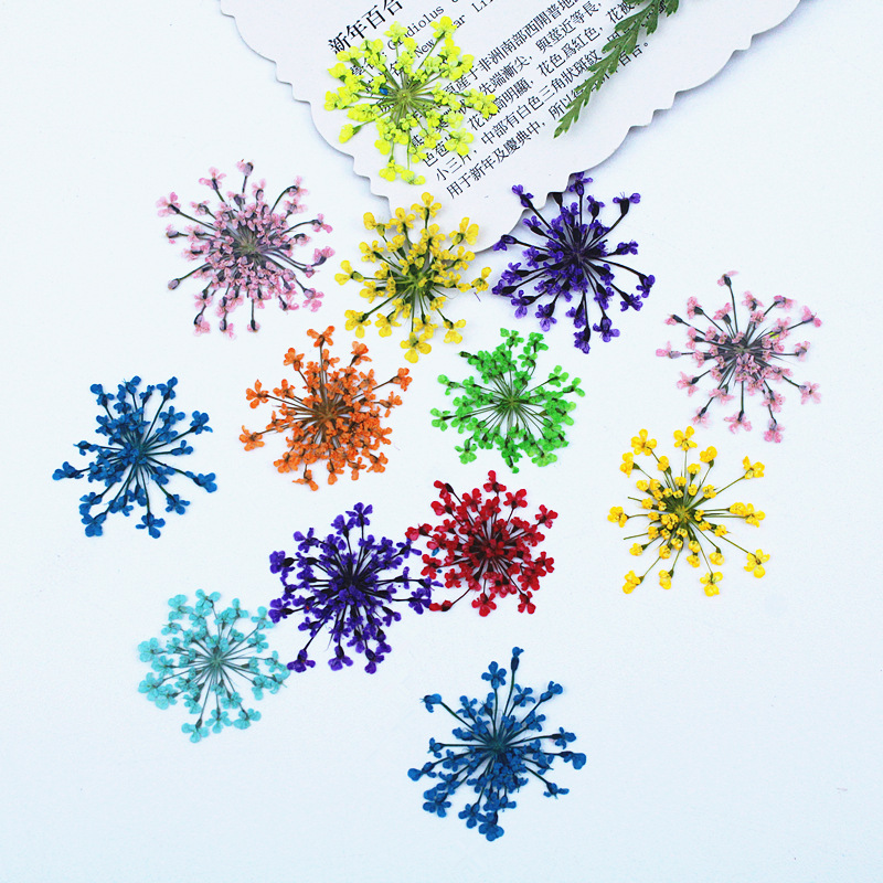 500pcs Lace Flowers Dried Flow - Resin Art Baby review and price